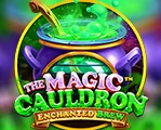 The Magic Cauldron - Enchanted Brew